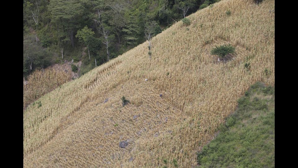 La siccit&agrave; in Nicaragua. Il Dry Corridor&nbsp;