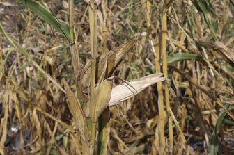 Siccit&agrave; e assenza di piogge&nbsp;