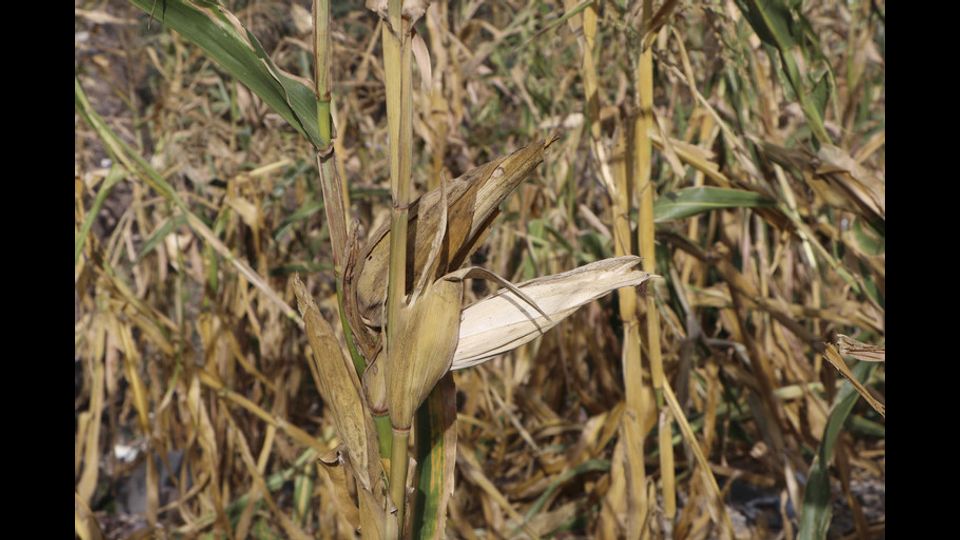 La siccit&agrave; in Nicaragua&nbsp;