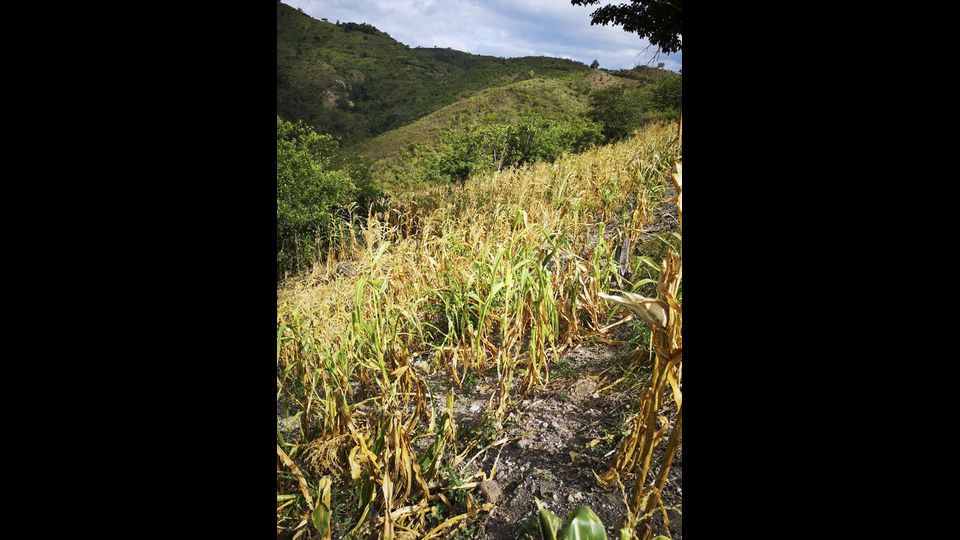 La siccit&agrave; in Nicaragua