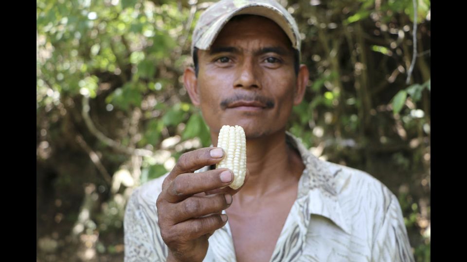 Un contadino in Nicaragua&nbsp;