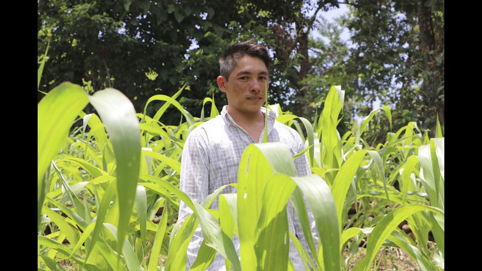 Un contadino in Nicaragua&nbsp;