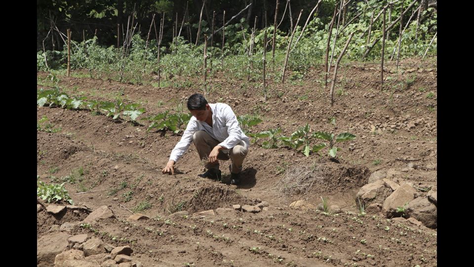 Un contadino in Nicaragua&nbsp;
