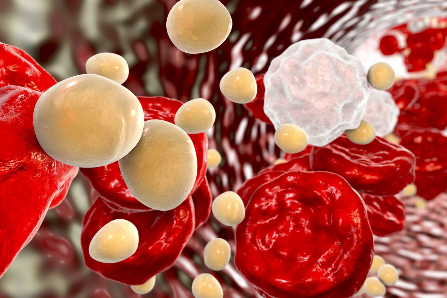 Colesterolo nel sangue