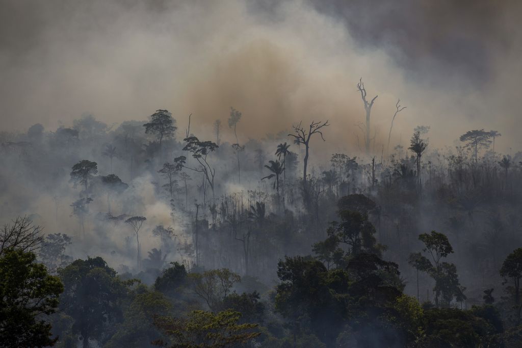 Amazzonia in fiamme