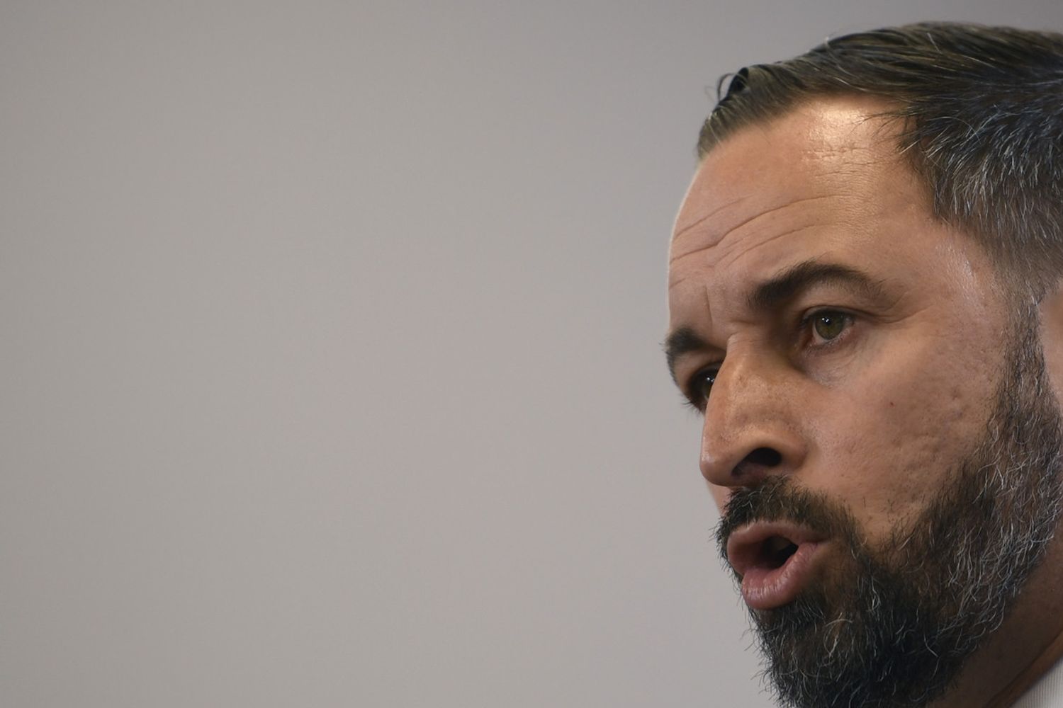 Santiago Abscal, Vox&nbsp;