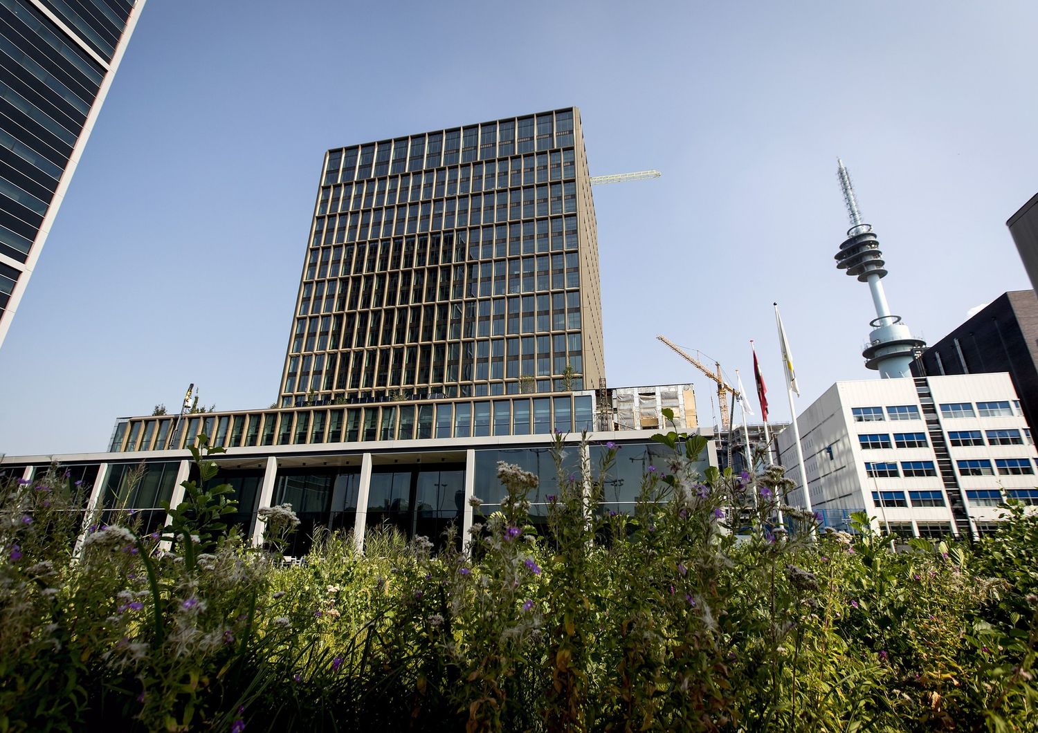 La sede dell'agenzia europea del farmaco ad Amsterdam&nbsp;
