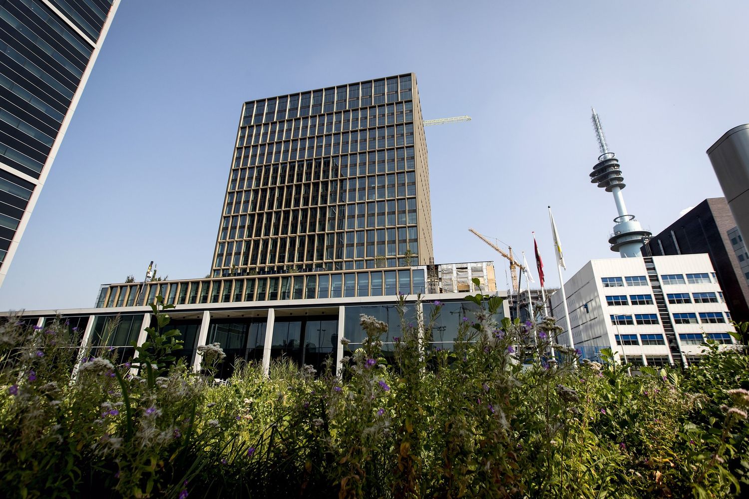 La sede dell'agenzia europea del farmaco ad Amsterdam&nbsp;