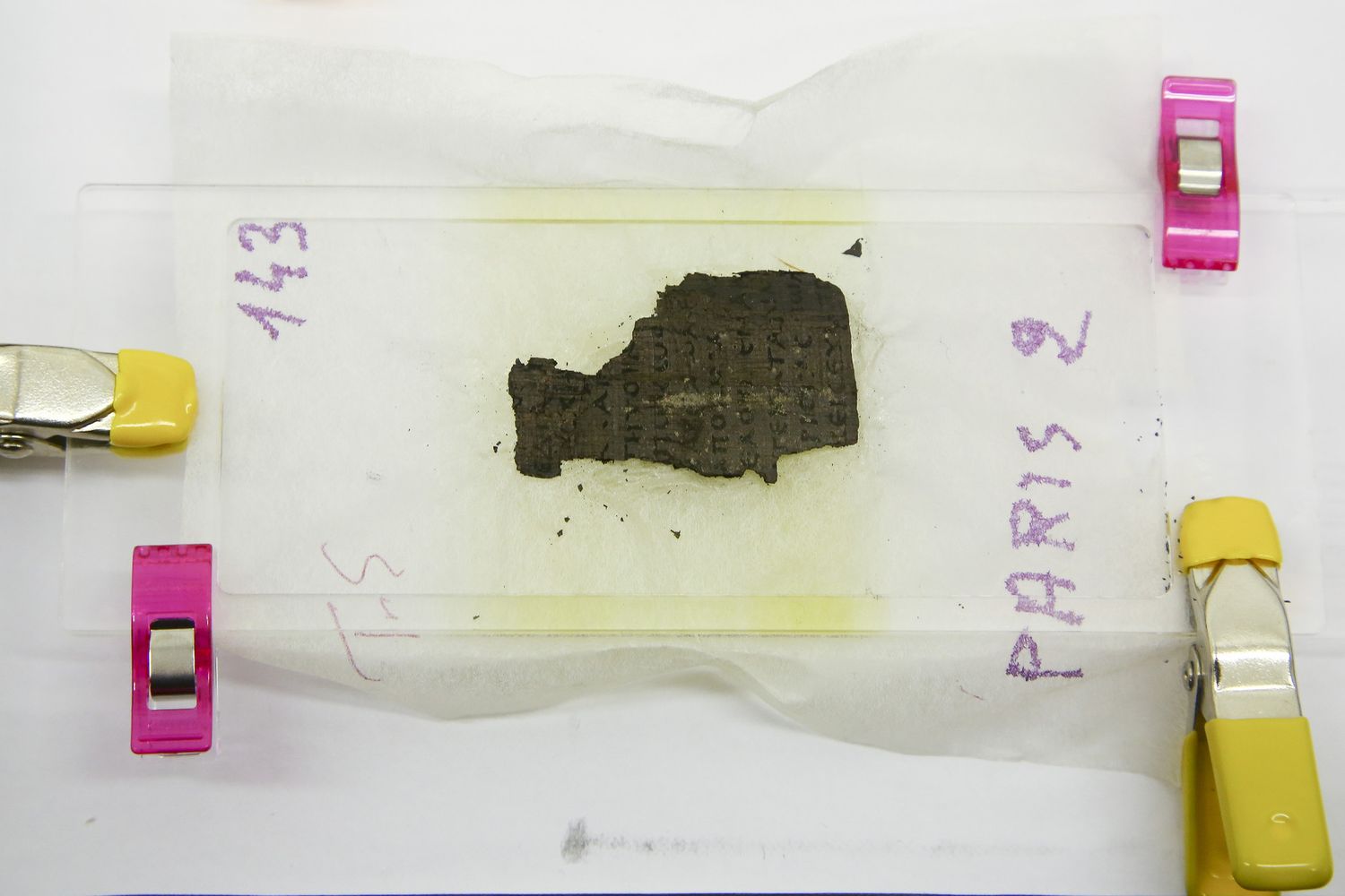 Frammento di pergamena proveniente da Ercolano