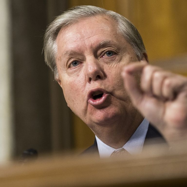 Lindsay Graham