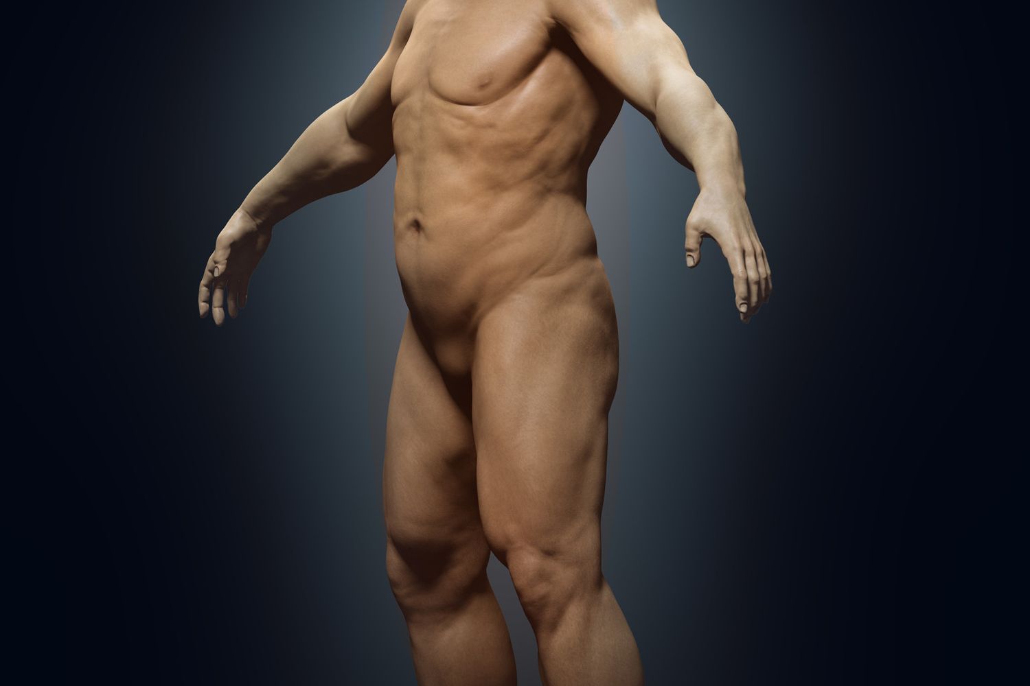 Homo Erectus