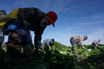 caporalato braccianti latina fucile&nbsp;