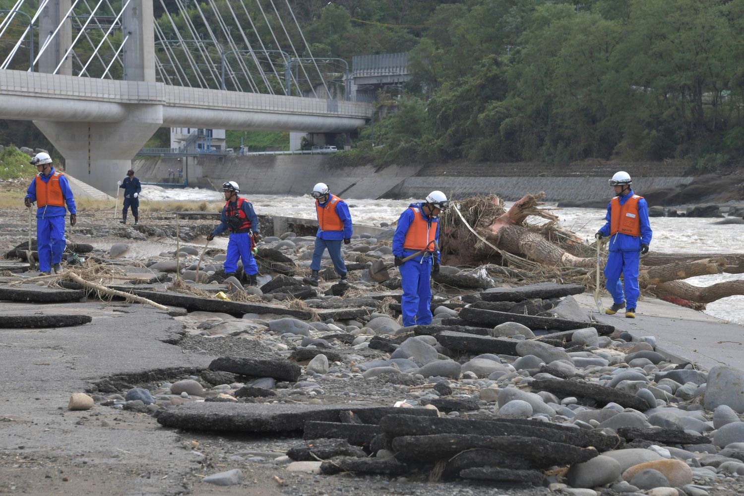 Tifone Hagibis, Giappone