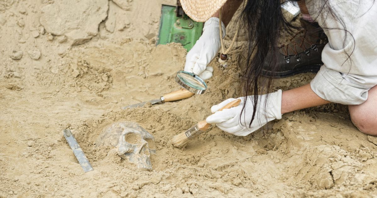 サンジミニャーノのローマ時代の別荘で1800年前の地下室が発見される