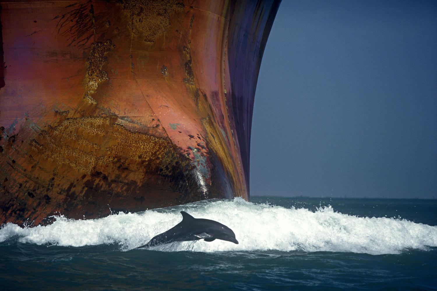 Una nave nel Golfo del Messico