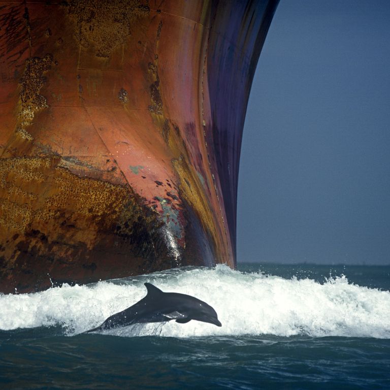 Una nave nel Golfo del Messico
