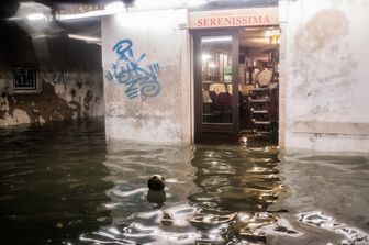 L'acqua alta a Venezia