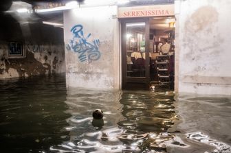 L'acqua alta a Venezia