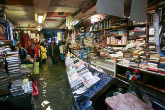 libreria acqua alta libri perduti venezia