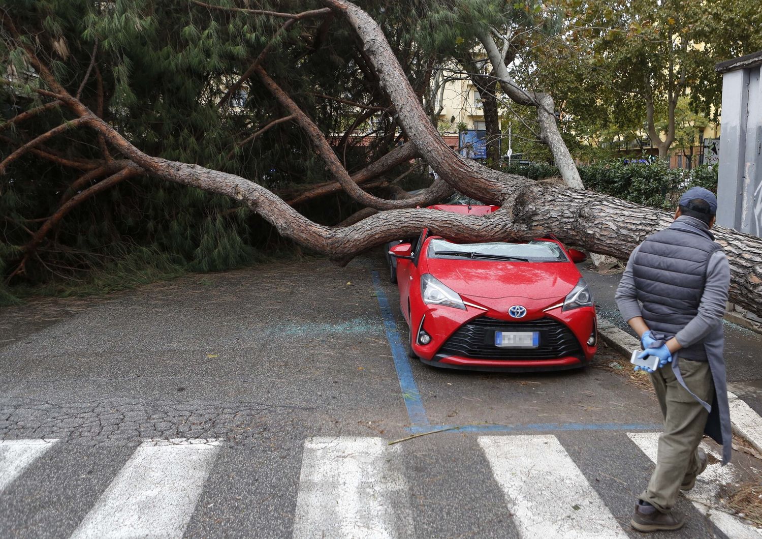 Un'auto schiacciata da un albero abbattuto dal maltempo a Roma
