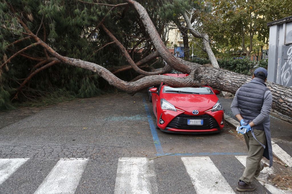 Un'auto schiacciata da un albero abbattuto dal maltempo a Roma