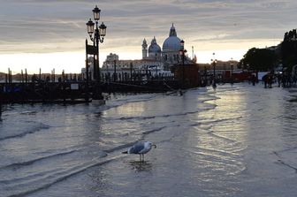 Venezia