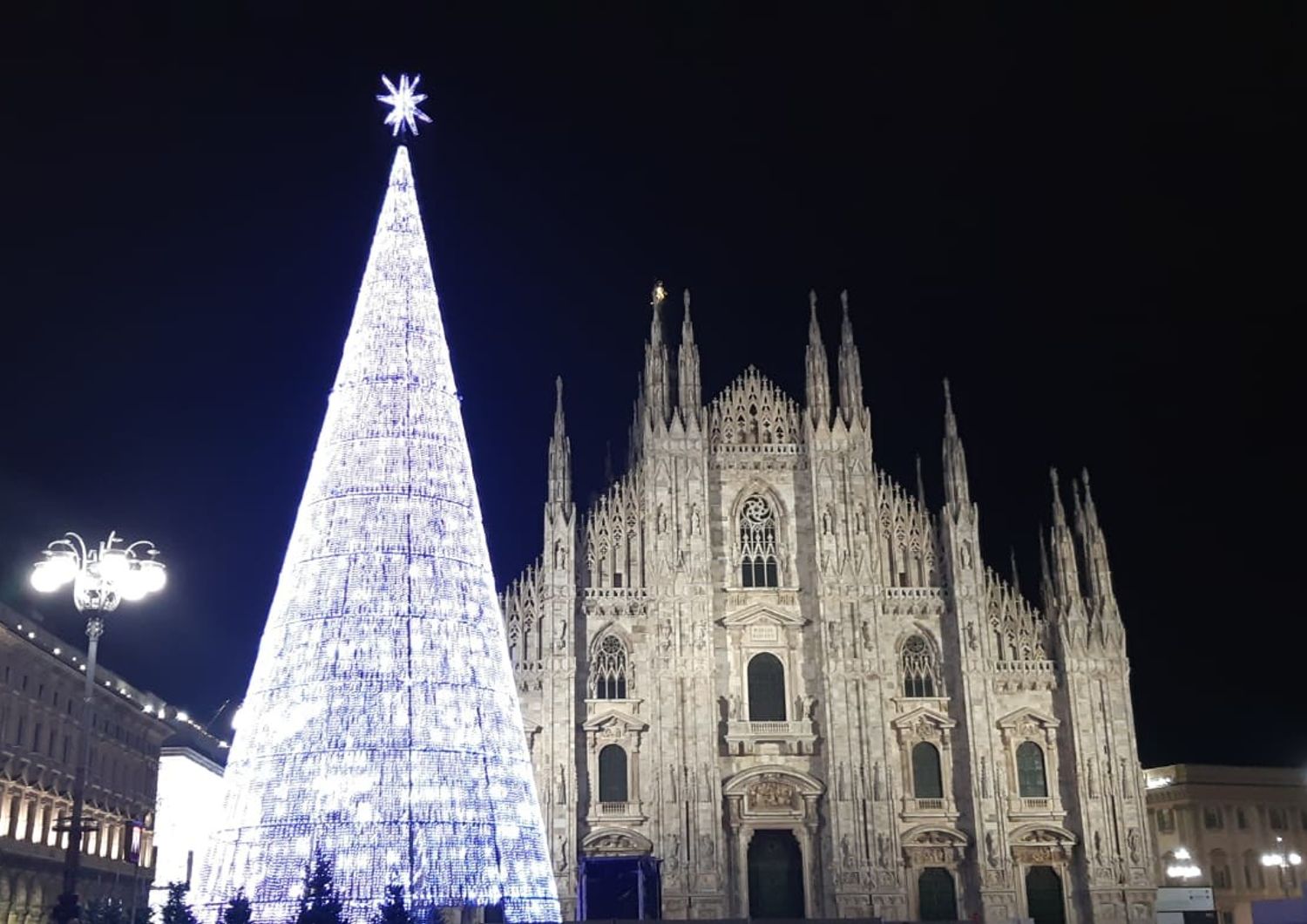L'albero di Natale a Piazza Duomo, Milano