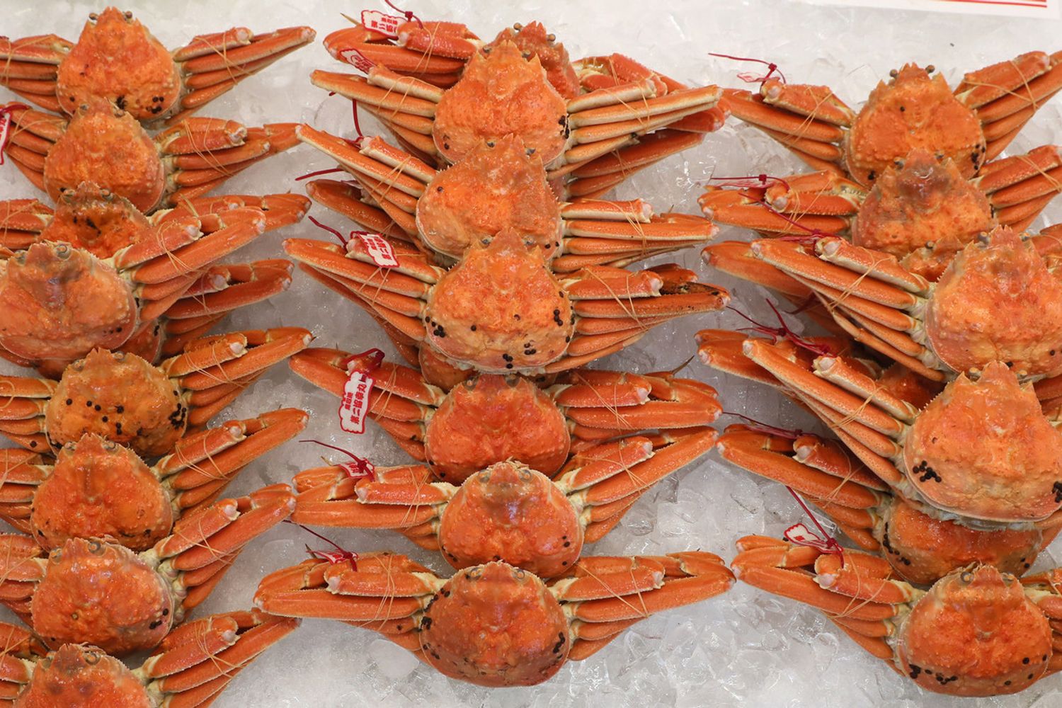 Granchi cinesi surgelati
