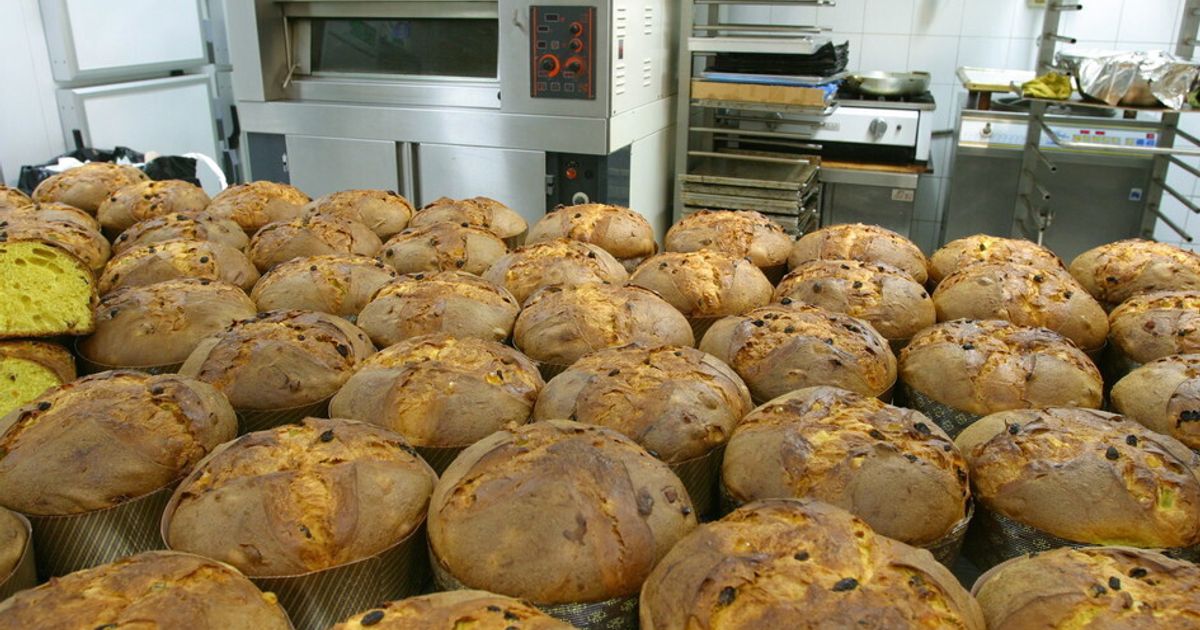 Il panettone artigianale? Altro che Milano, si fa in Campania