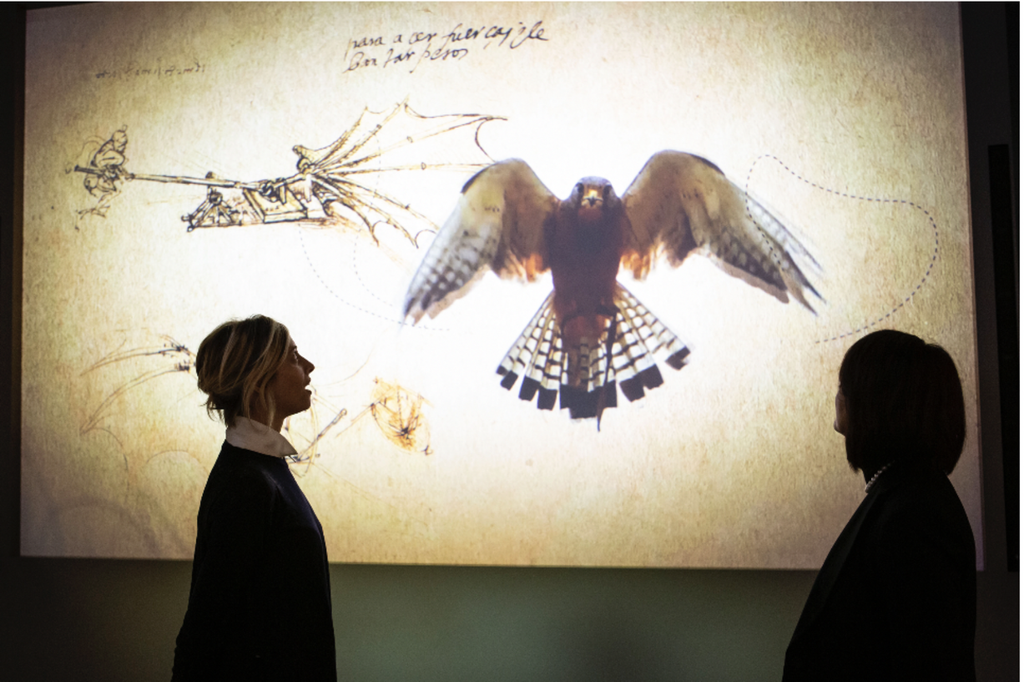 Credits: Museo Nazionale Scienza e Tecnologia Leonardo Da Vinci http://www.museoscienza.org/it/leonardo/gallerie