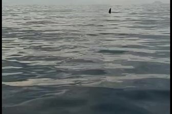 orche sicilia messina