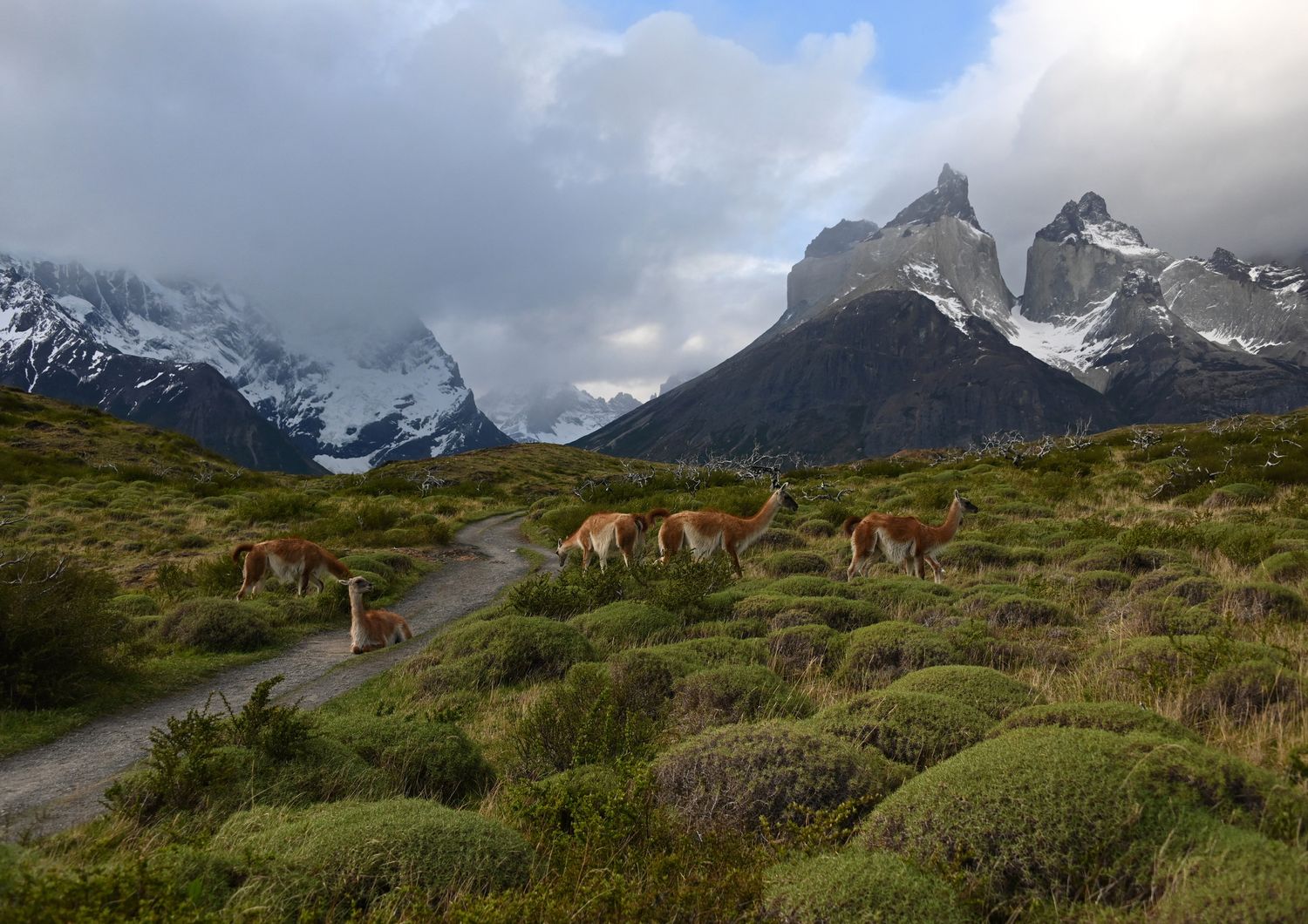 turista italiana deturpa parco patagonia