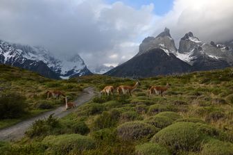 turista italiana deturpa parco patagonia