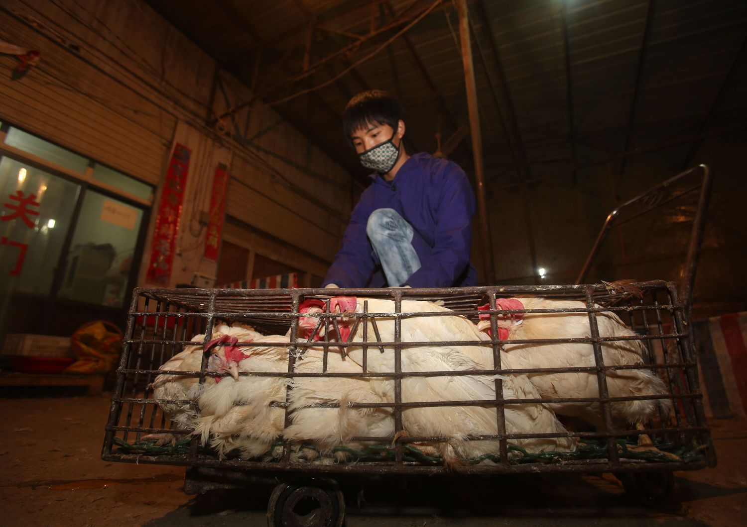 Un'immagine del mercato di Wuhan, Cina