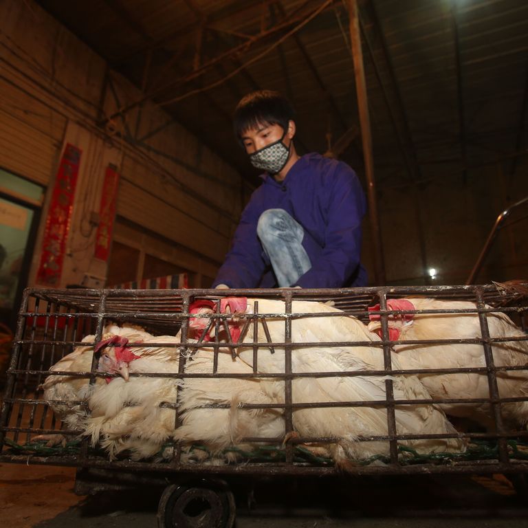 Un'immagine del mercato di Wuhan, Cina