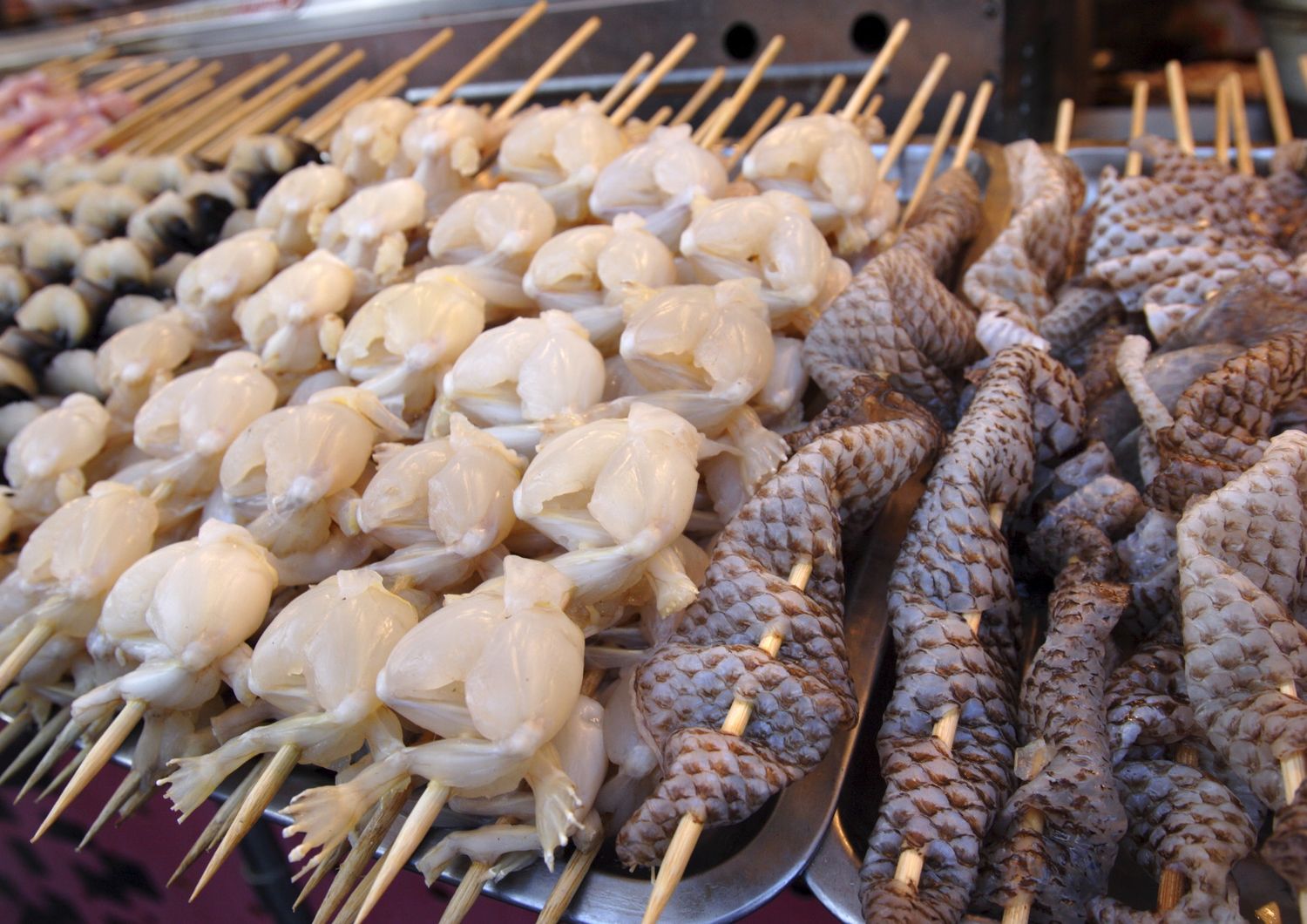 Cosce di rana e pelli di serpenti vendute in un mercato cinese, come quello da cui si sospetta sia partito il coronavirus
