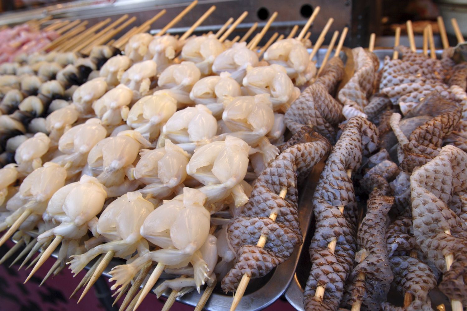 Cosce di rana e pelli di serpenti vendute in un mercato cinese, come quello da cui si sospetta sia partito il coronavirus