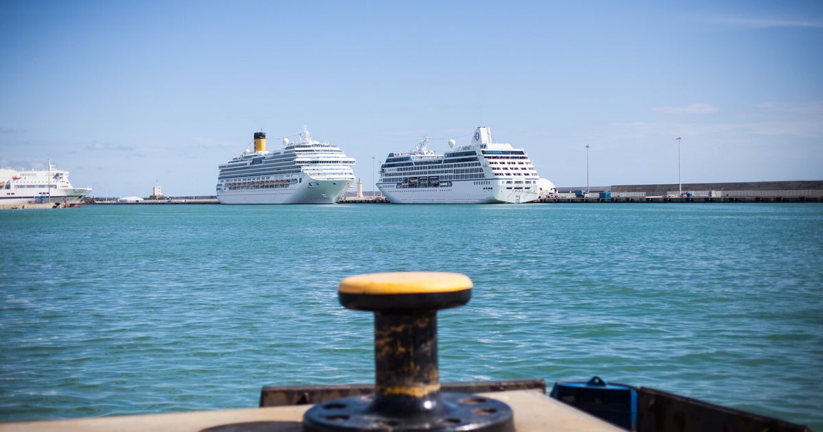trovato un cadavere sulla banchina del porto a civitavecchia