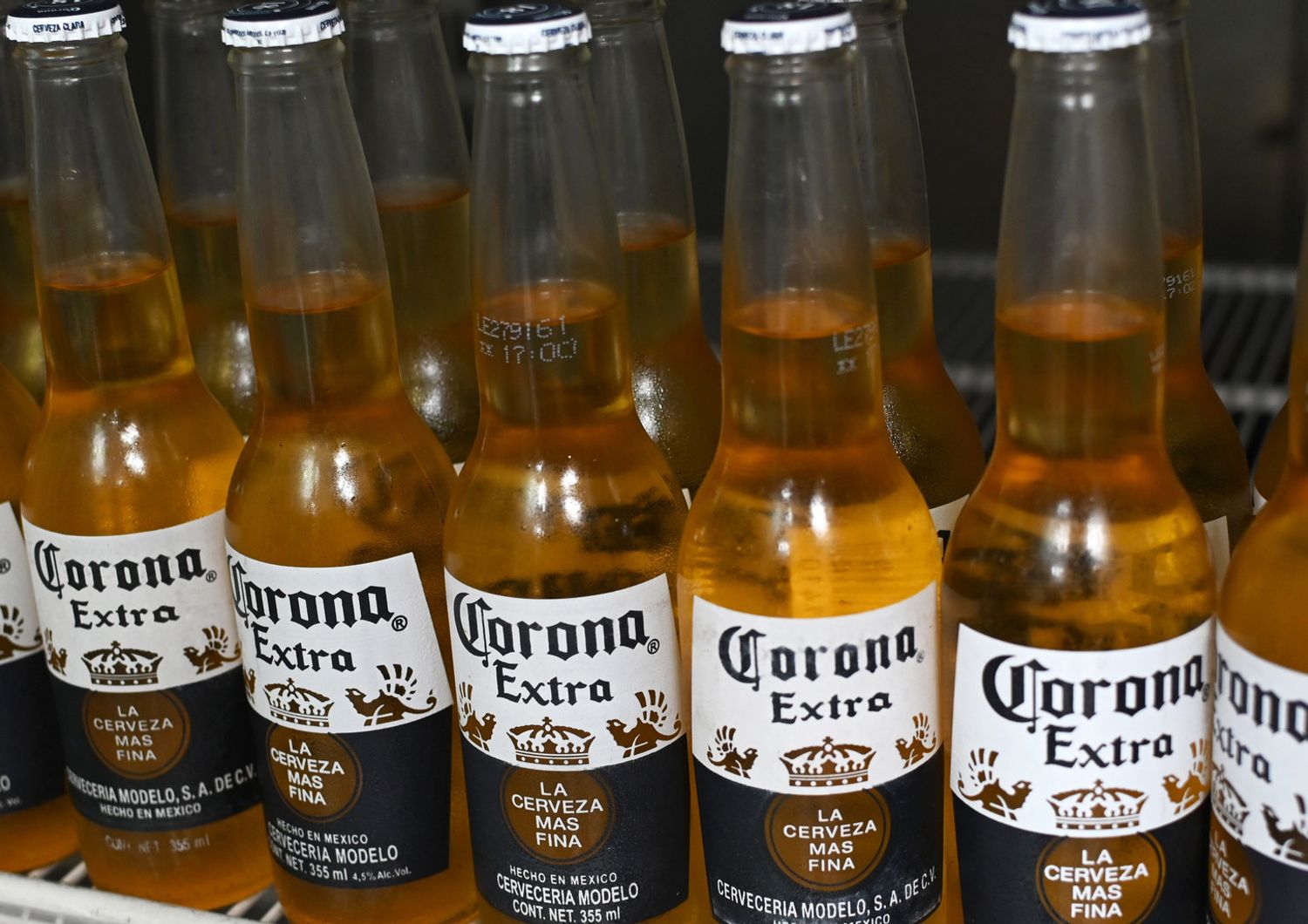 Birra Corona