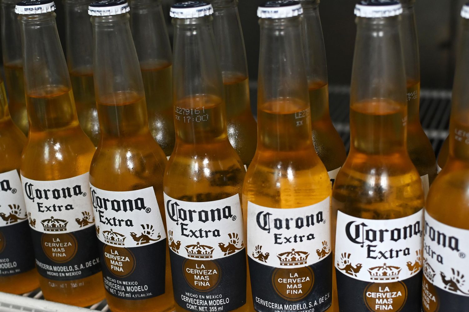 Birra Corona