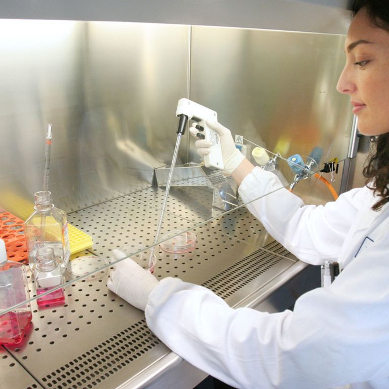 Un laboratorio dello Spallanzani