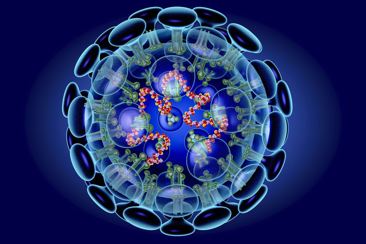&nbsp;Coronavirus, illustrazione