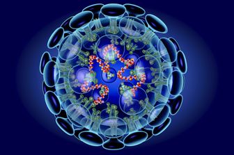 &nbsp;Coronavirus, illustrazione