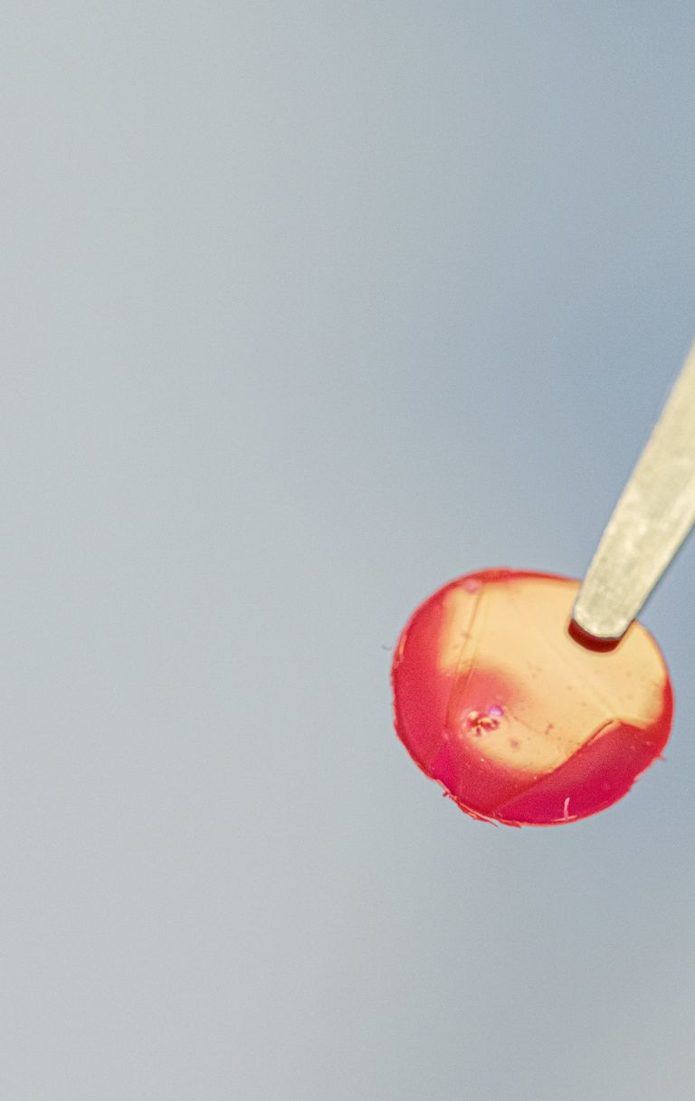 Applicazione del cerotto