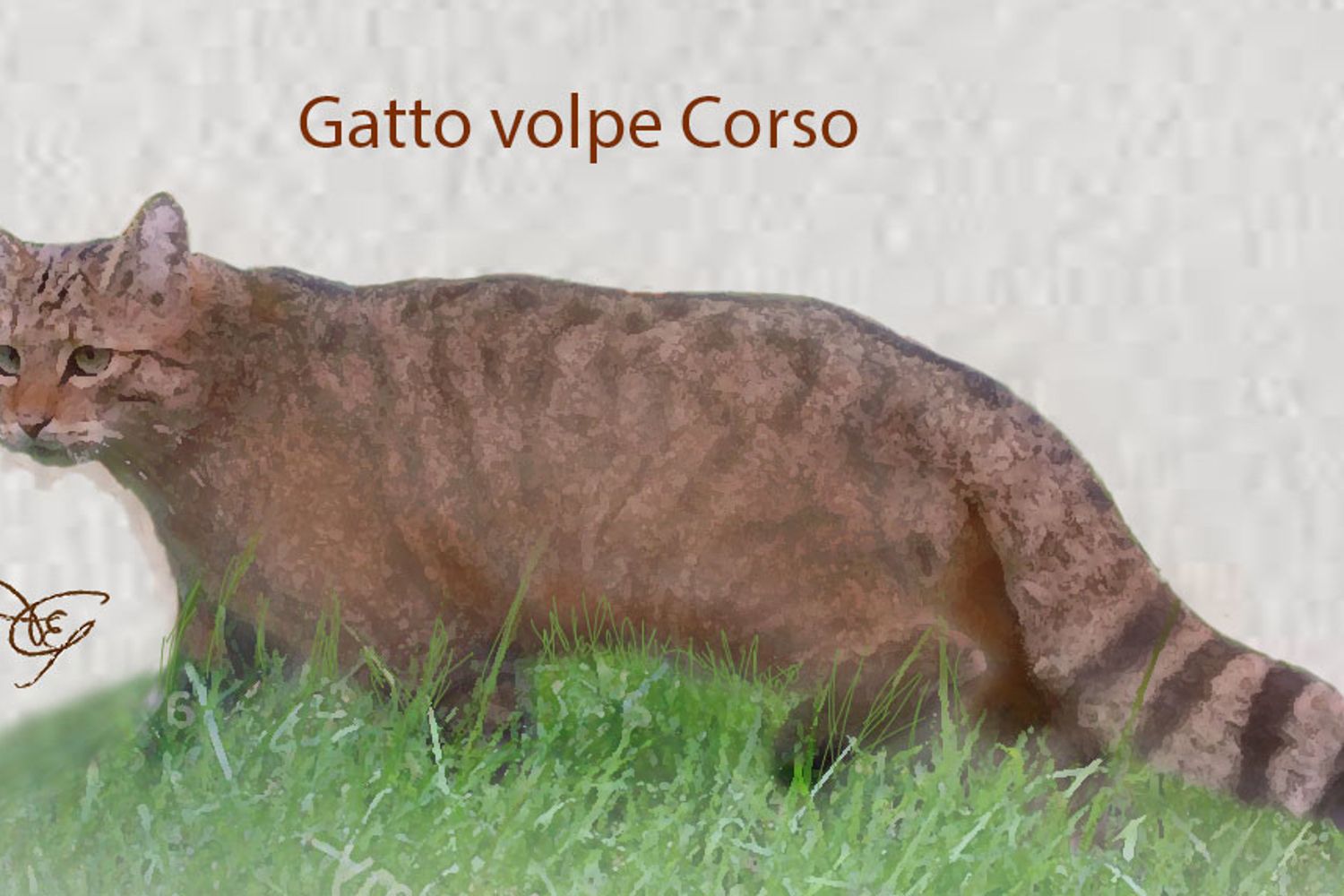 Disegno di Enrico Toccafondi dal libro 'Gatti nel mondo'