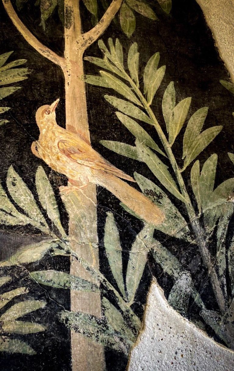 Il meraviglioso raccolto del frutteto