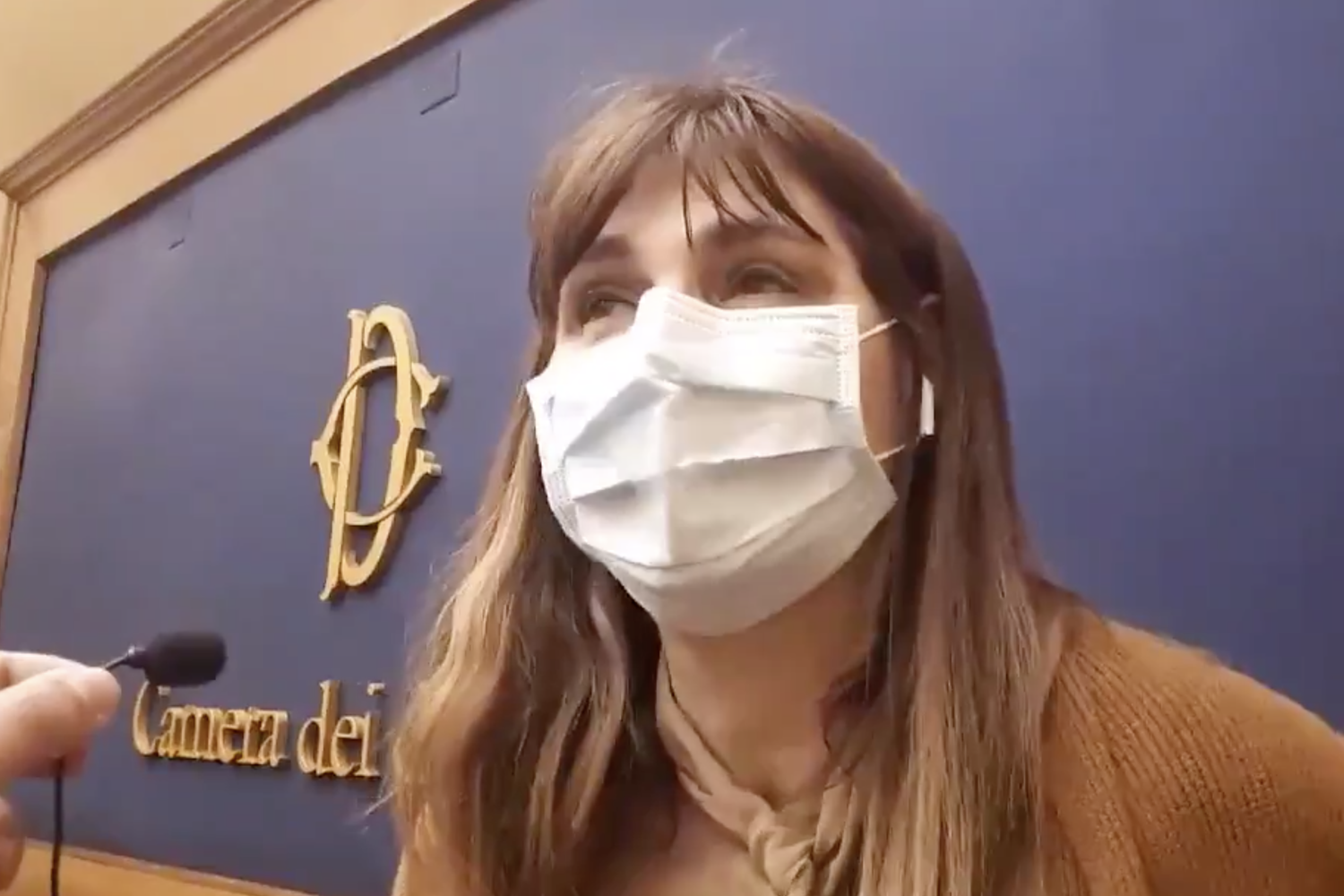 Maria Teresa Baldini, deputata di Fratelli d'Italia &nbsp;