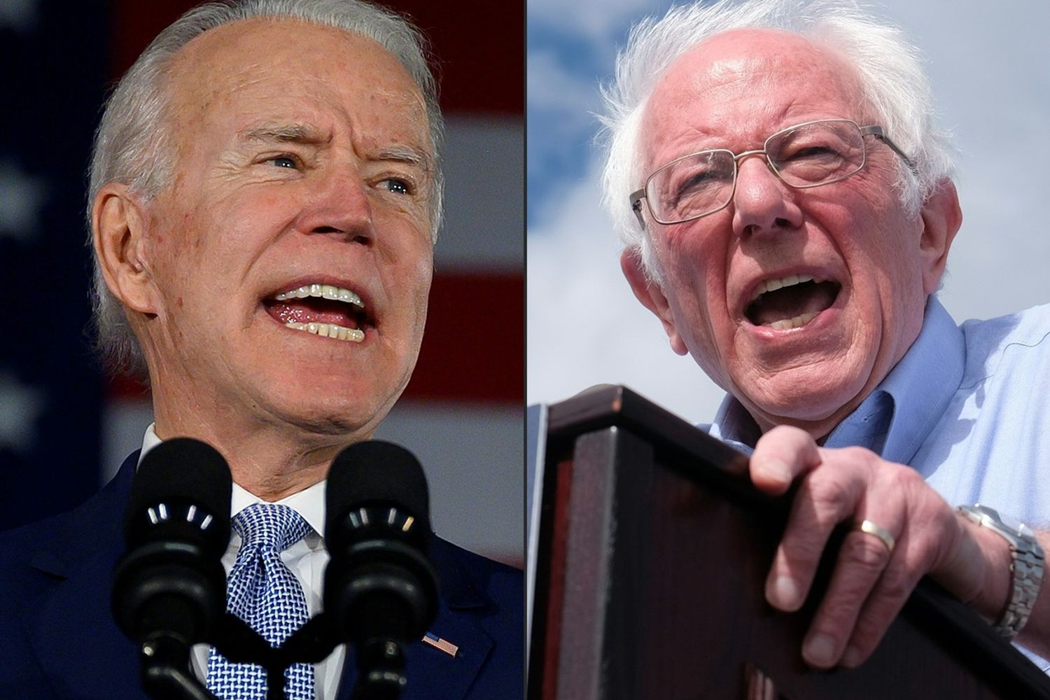 Biden e Sanders