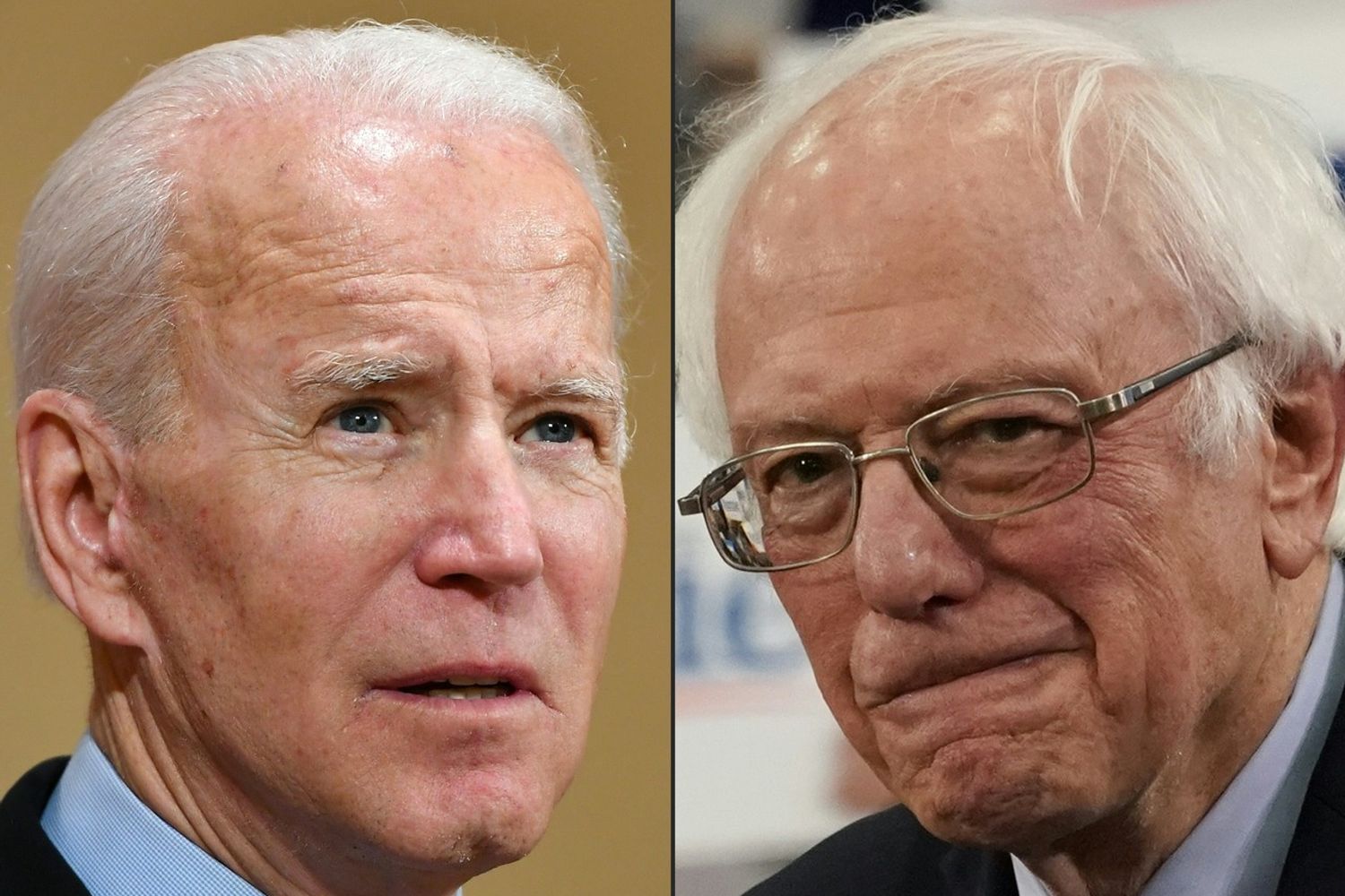 Joe Biden, Bernie Sanders