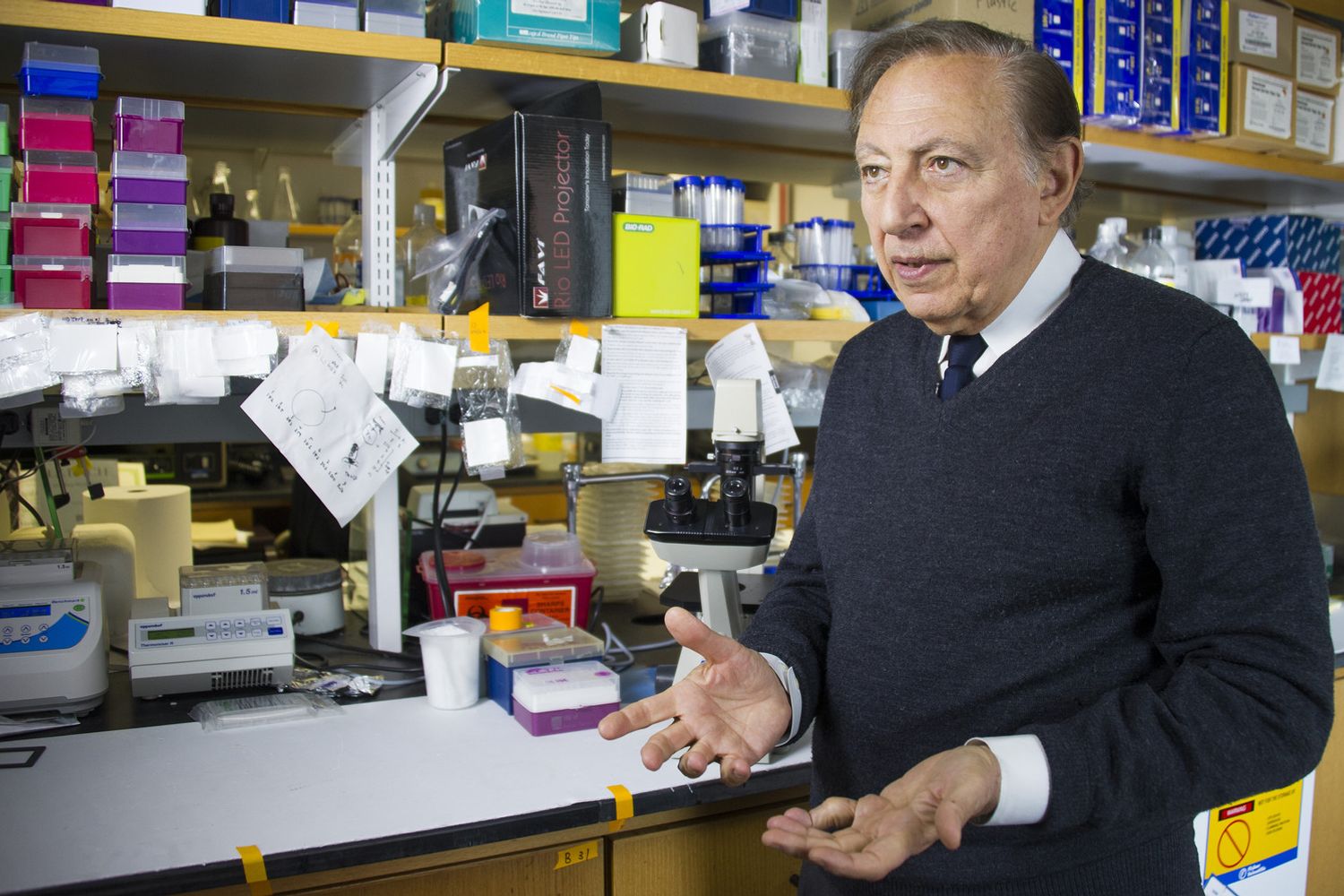 Il professor Robert Gallo